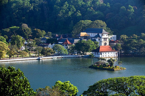 Negombo to Kandy one day tour