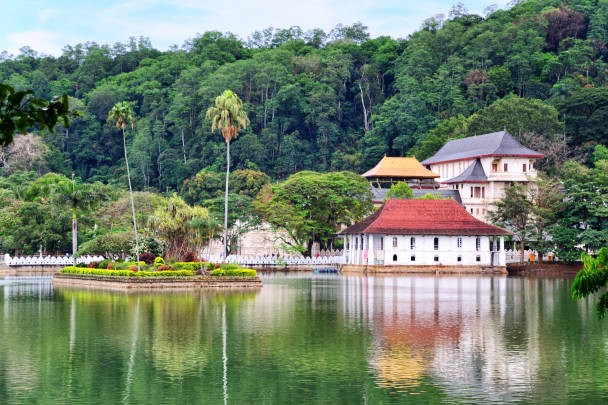 Negombo to Kandy one day tour