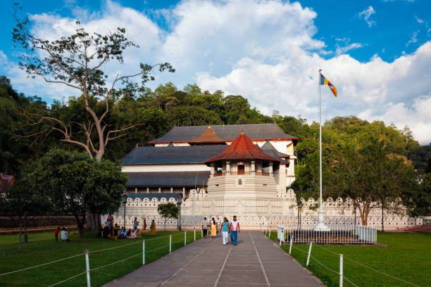 Negombo to Kandy one day tour