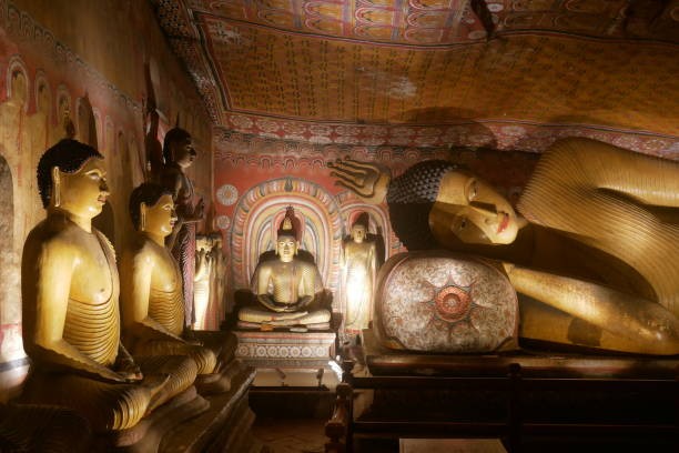 Negombo to Sigiriya and Dambulla One-Day Tour