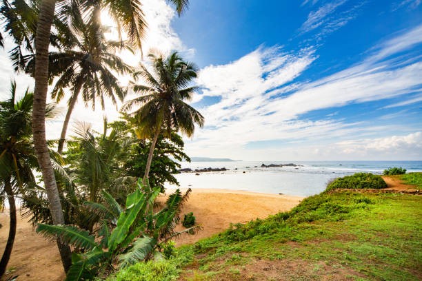 Negombo to Galle Fort One-Day Tour